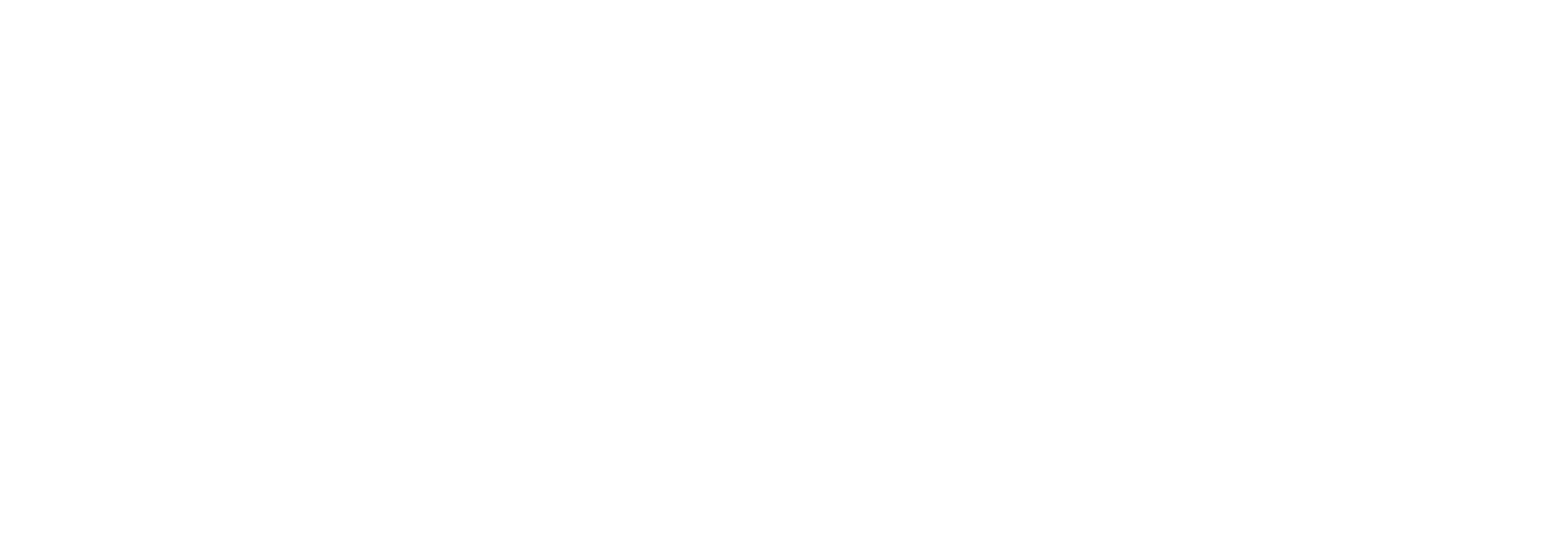 Bengenese Language Council